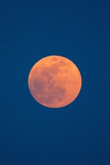 photo of bloody red moon