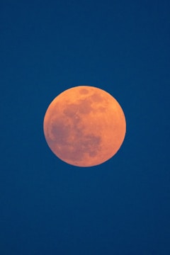 photo of bloody red moon