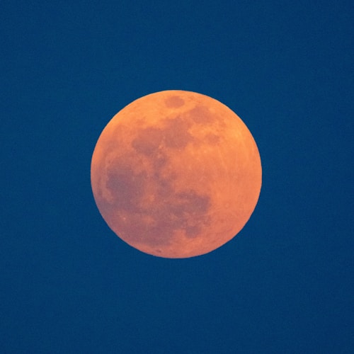 photo of bloody red moon