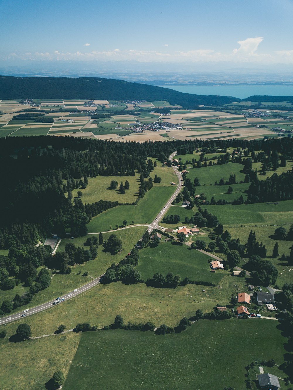 aerial view of green trees and sea shore