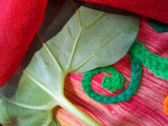 A close-up view of a leafy green vegetable on a vibrant textile background, featuring a prominent vein structure. The textile has red and pink hues with green embroidery thread in a swirling pattern.
