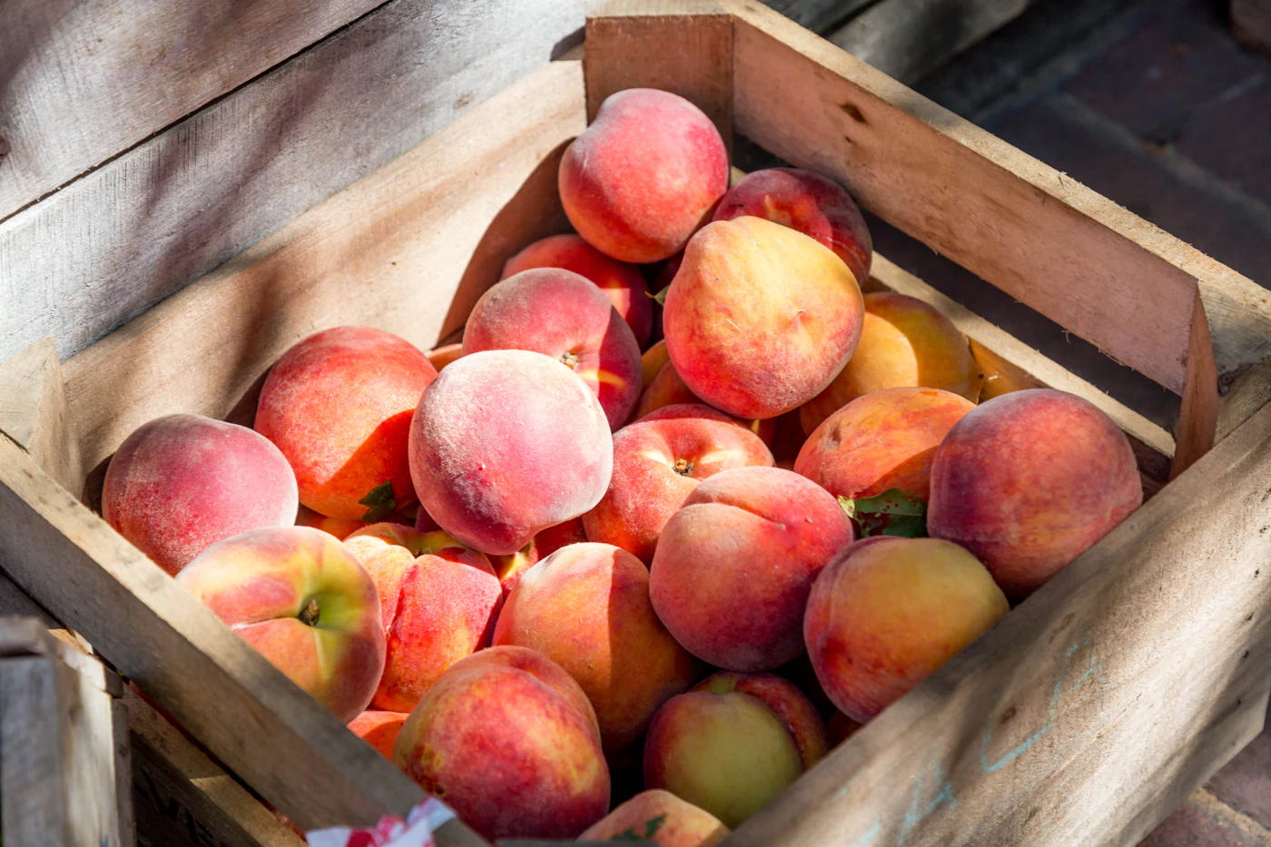 Palisade peach orchard with ripe stone fruit and western Colorado berries