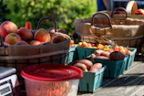 A candid moment of the content creator capturing a local farmer’s fresh produce basket in crisp parchment light.
