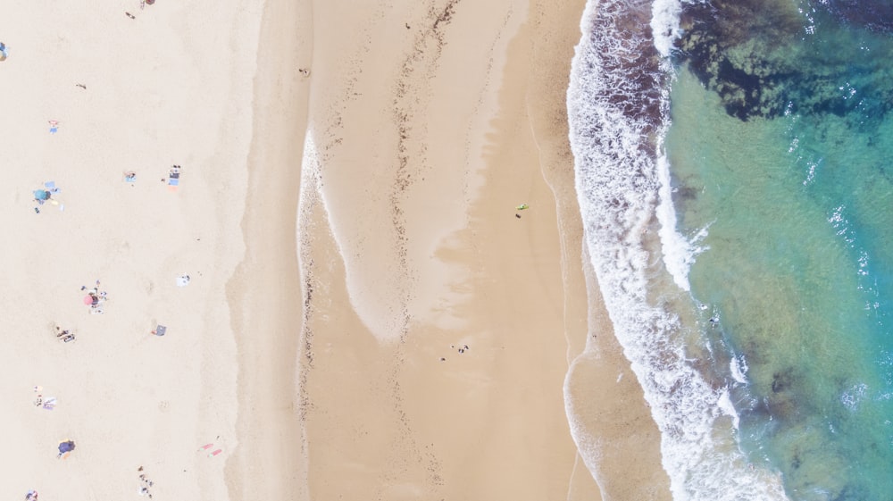 aerial photo of people on brown sand near body of water