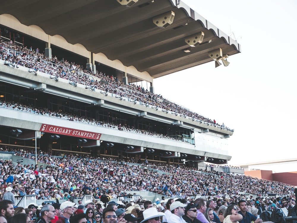 persone all'interno dello stadio