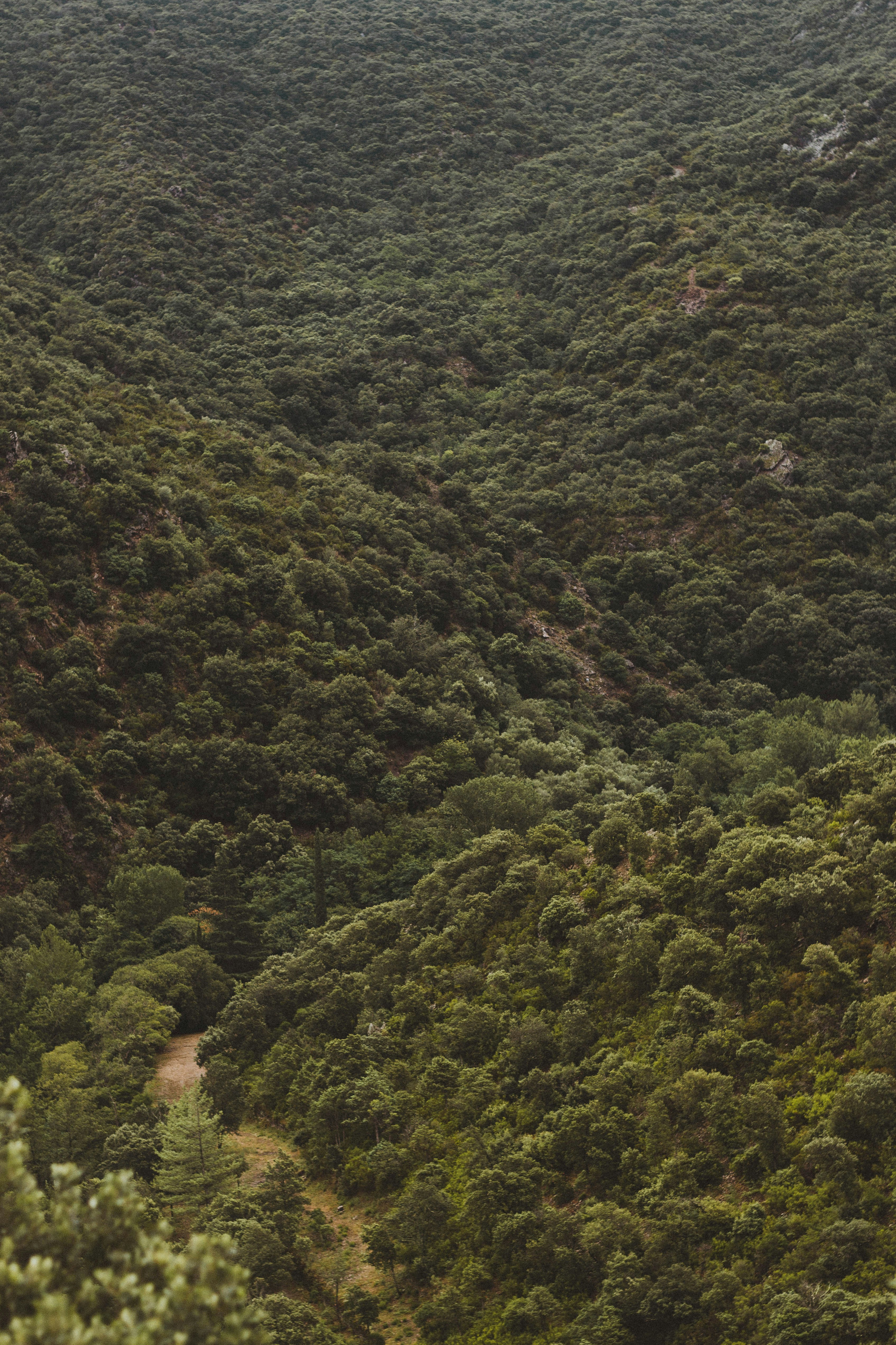 Photo by maelseigneurie