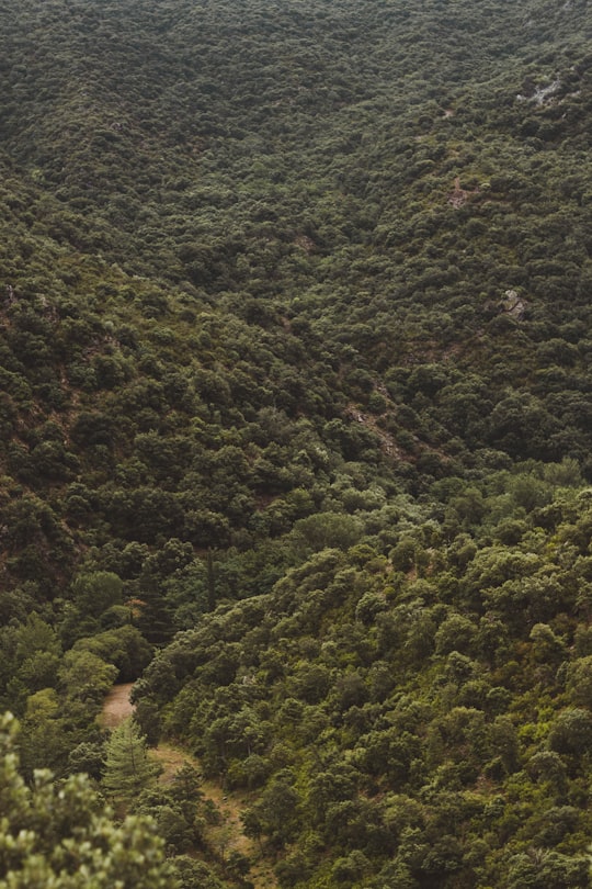 aerial photo of mountain and river at daytime in Prieuré de Serrabona France