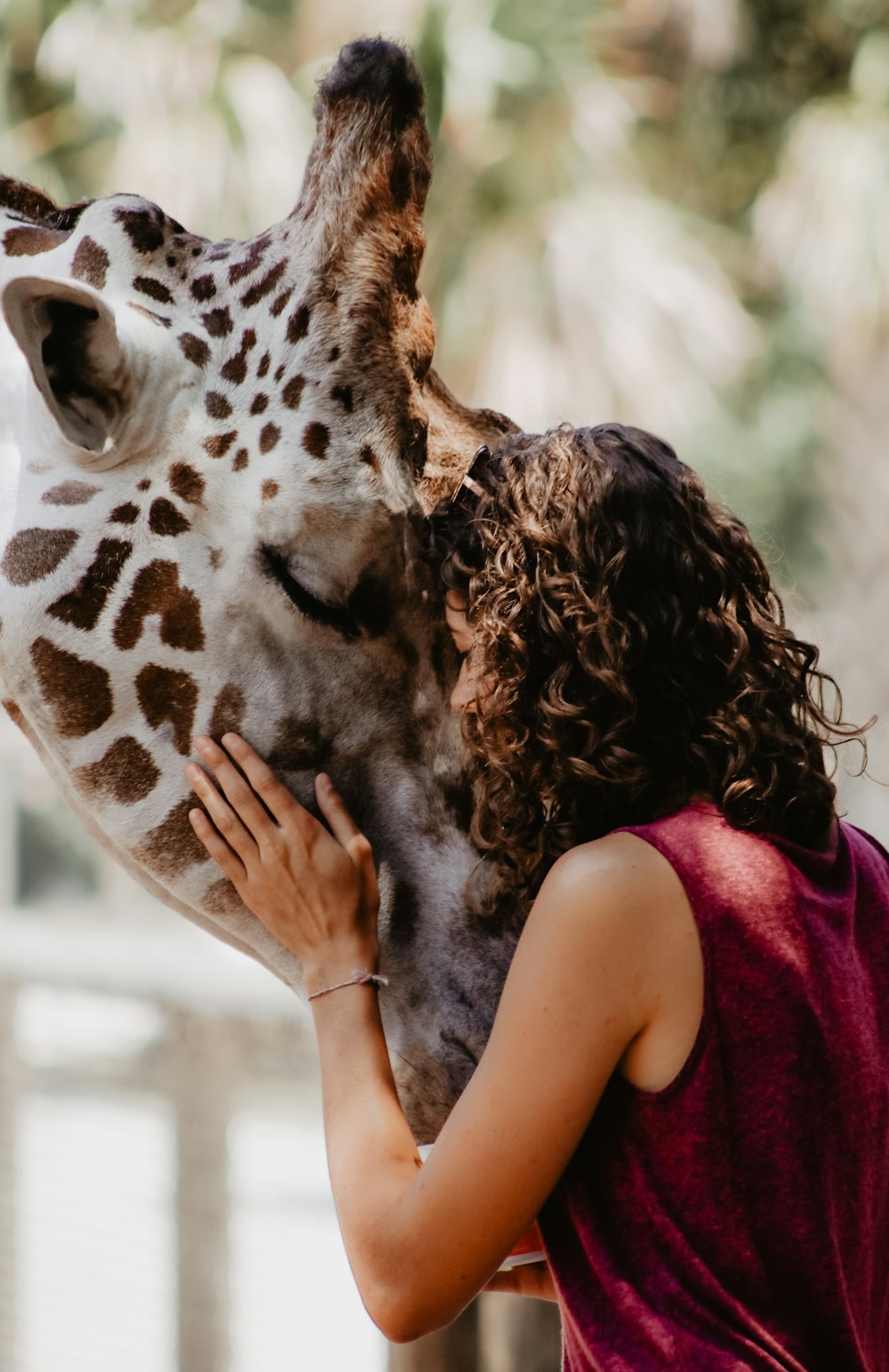 Erzwungene perspektivische Fotografie einer Frau, die Giraffe umarmt