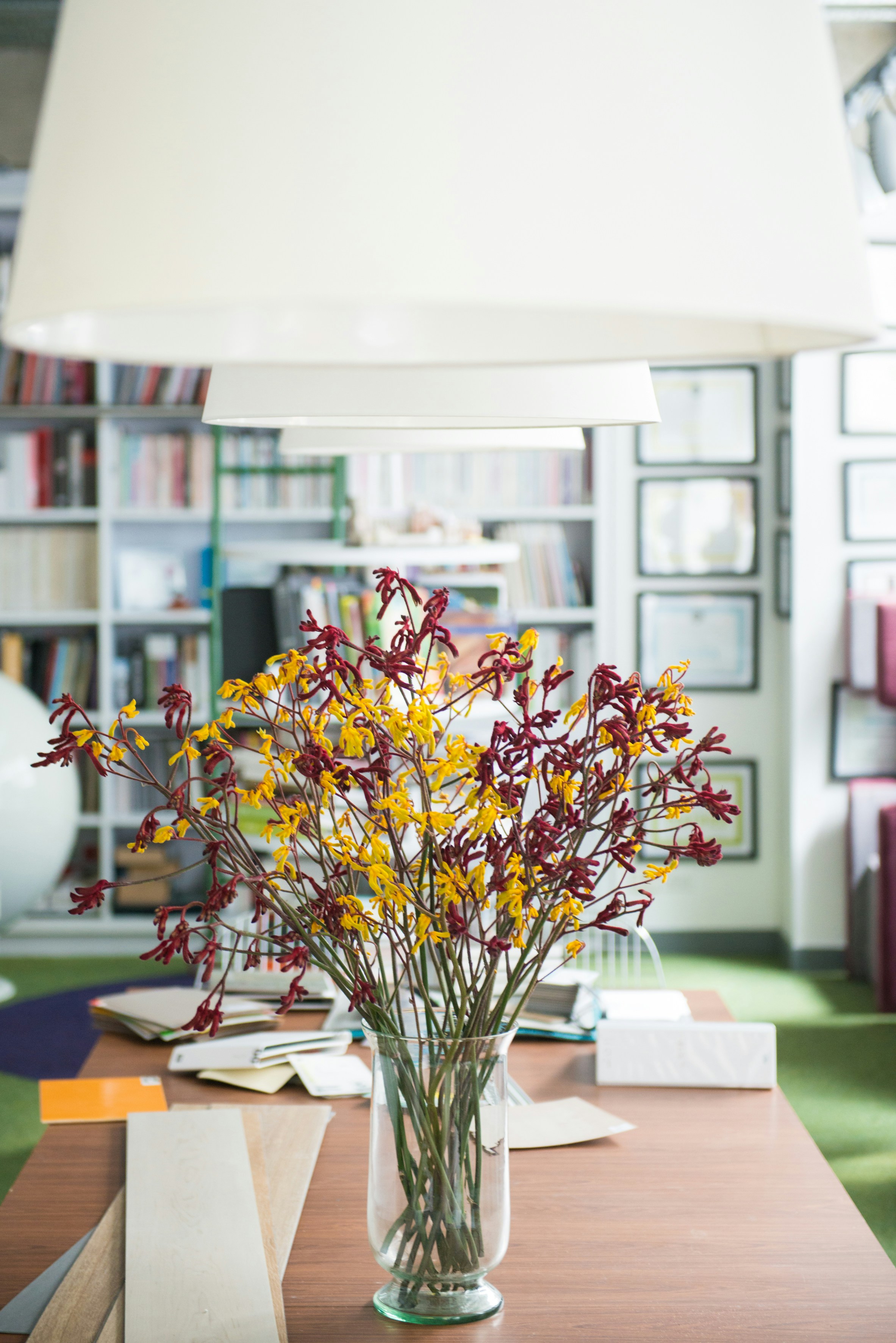 red and yellow petaled flowers in clear glass vase on top of wooden table