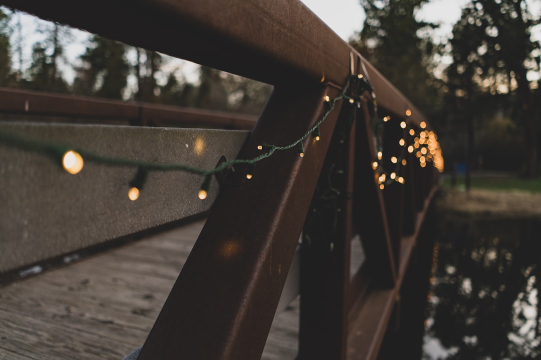 Lights on the Bridge
