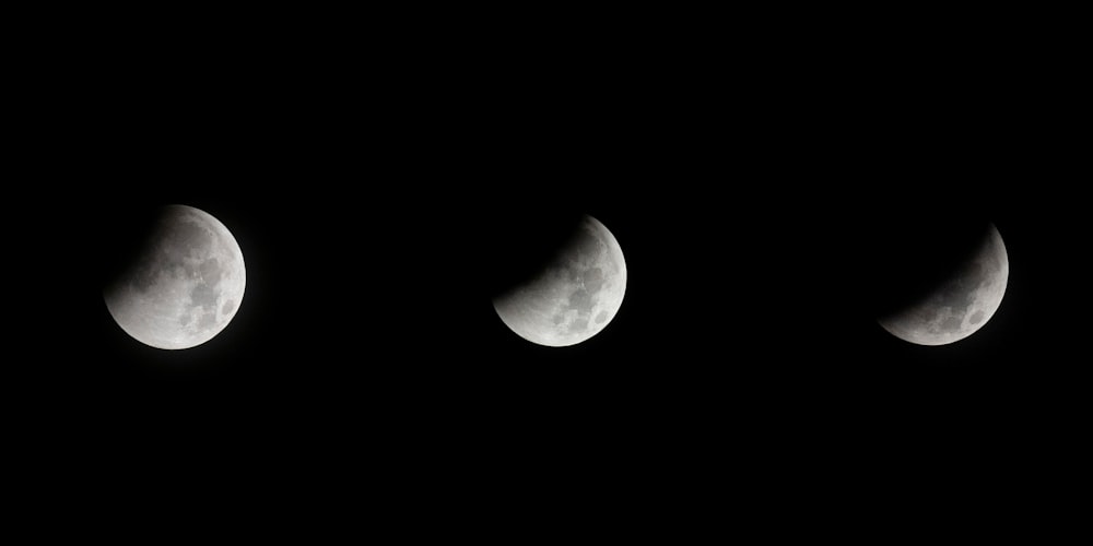 closeup photo of half moons