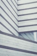 white and black building