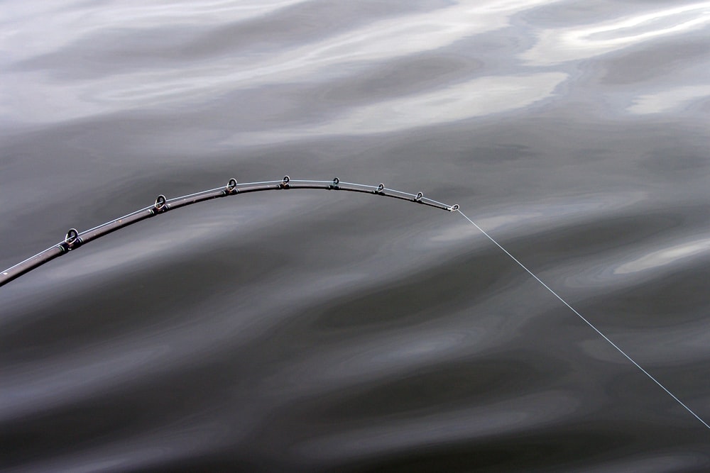 fishing rod greyscale photography