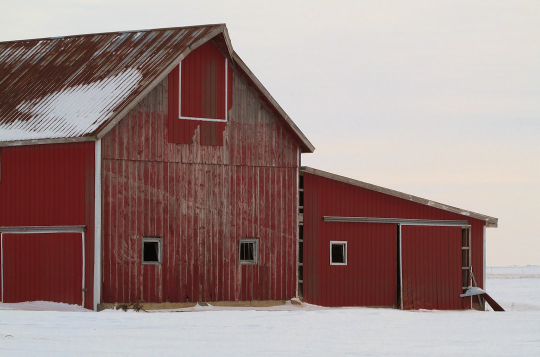 Winter, snow and a barn on a bitterly cold day in Ogle County, Illinois, USA. The photo makes me feel pleased with the steadfastness and rightness of the barn standing against the elements, ready for the promise of another growing season to come.