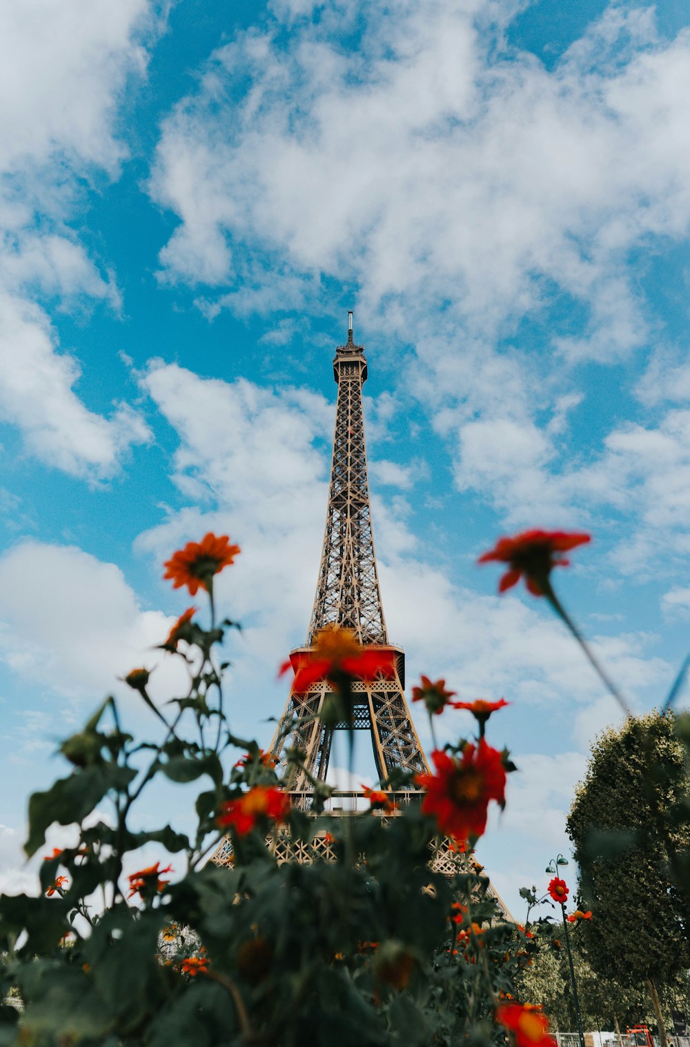 Tilt-Shift-Fotografie von roten Blumen und dem Eiffelturm