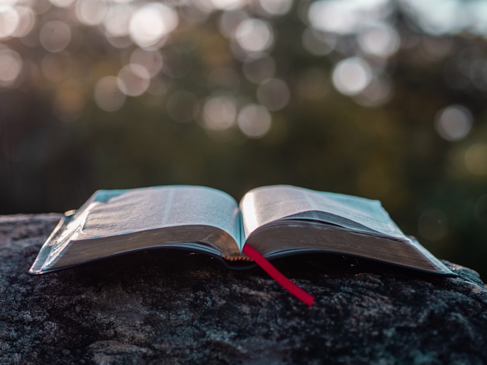 Páginas de livros sobre pedra cinza durante o dia