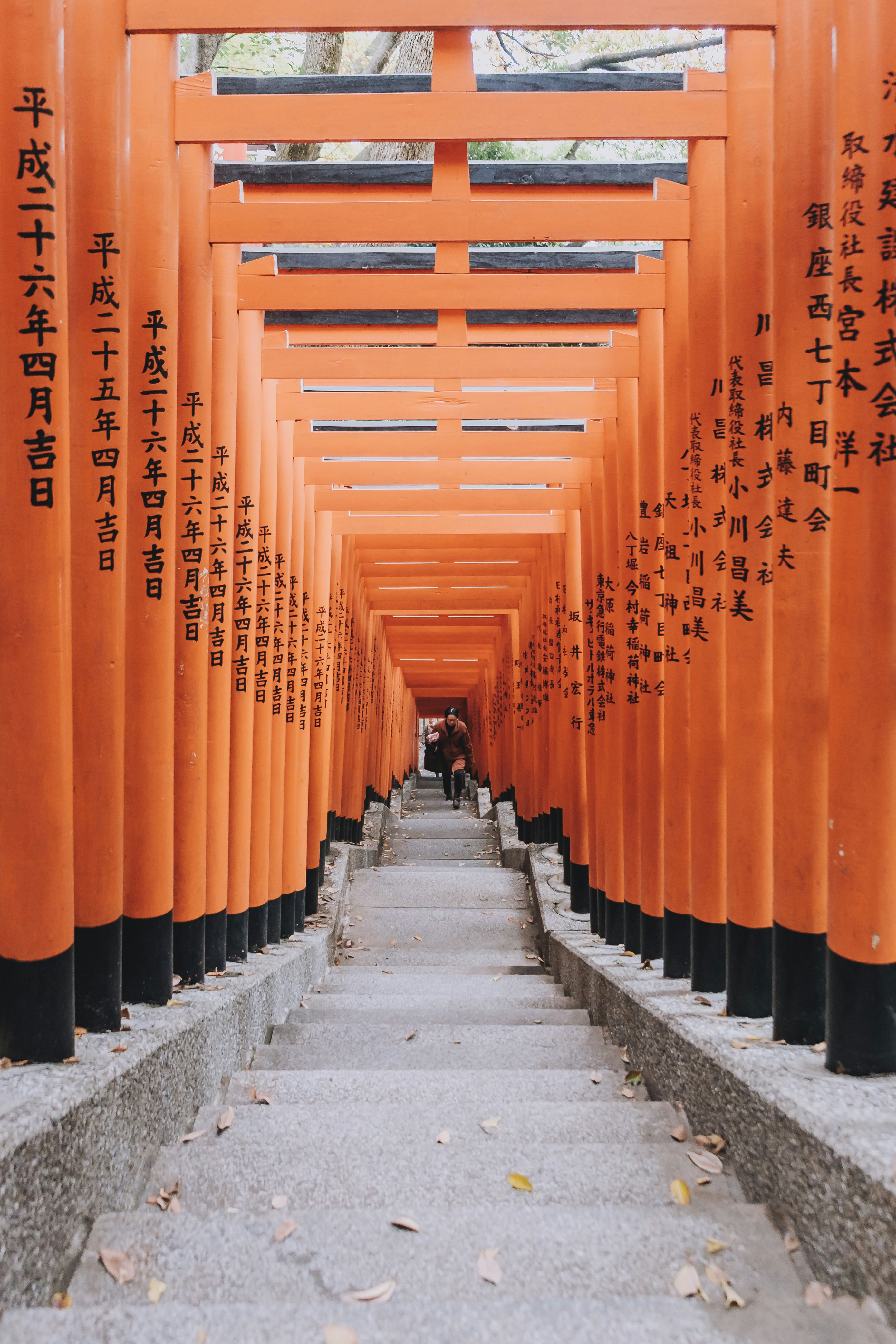 Torii Gate Japan Photo Free Japan Image On Unsplash