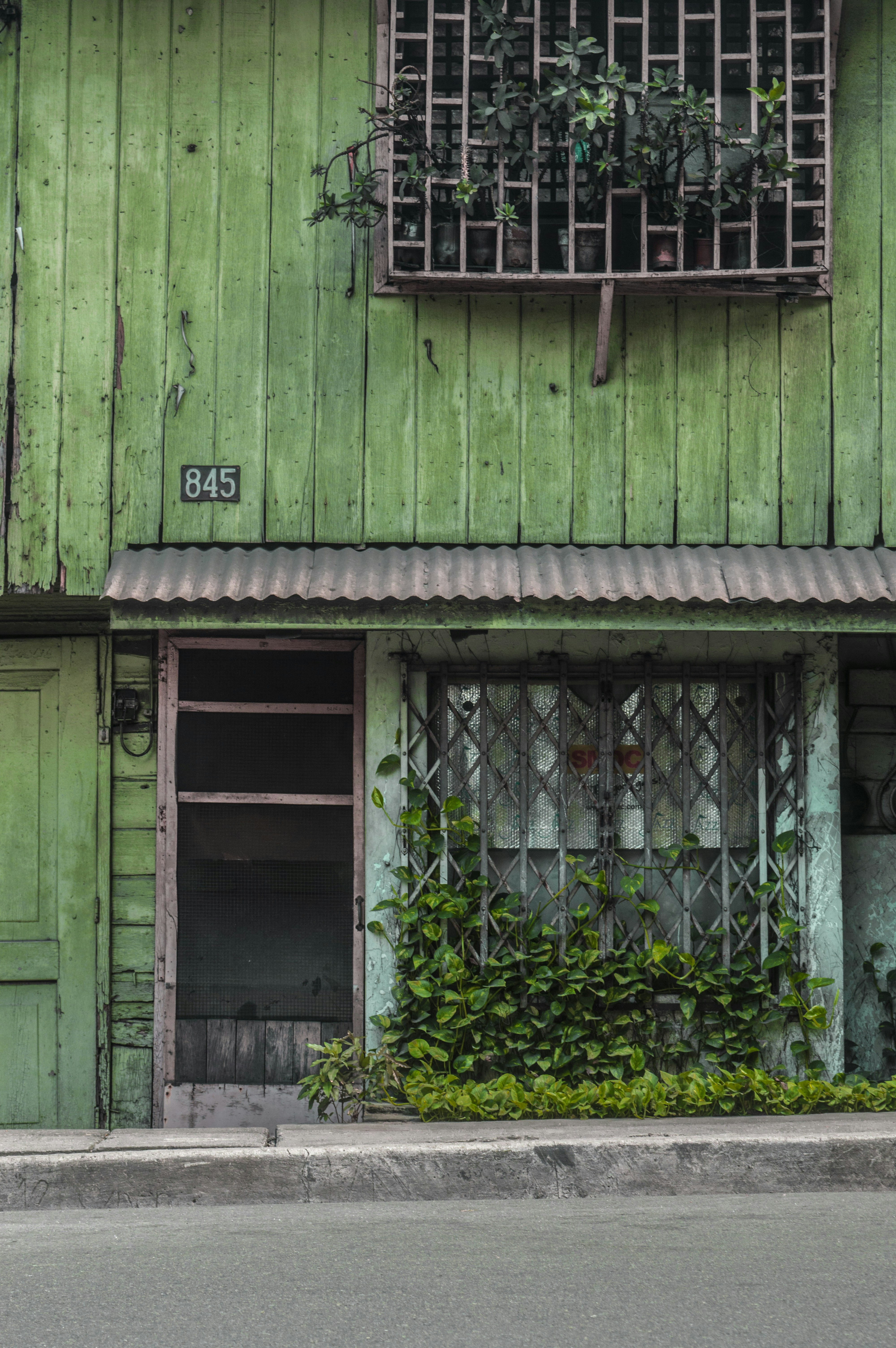 Euphorbia Plants On Brown Window Of Green House At Daytime Photo