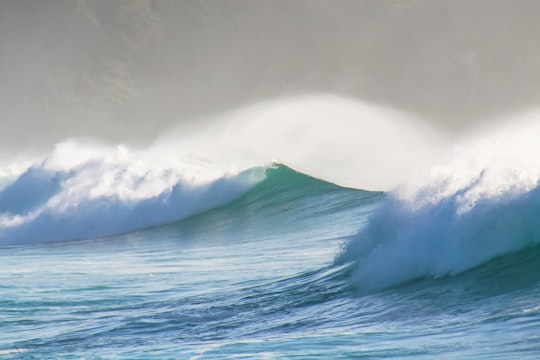 Boomerang Beach things to do in Forster NSW