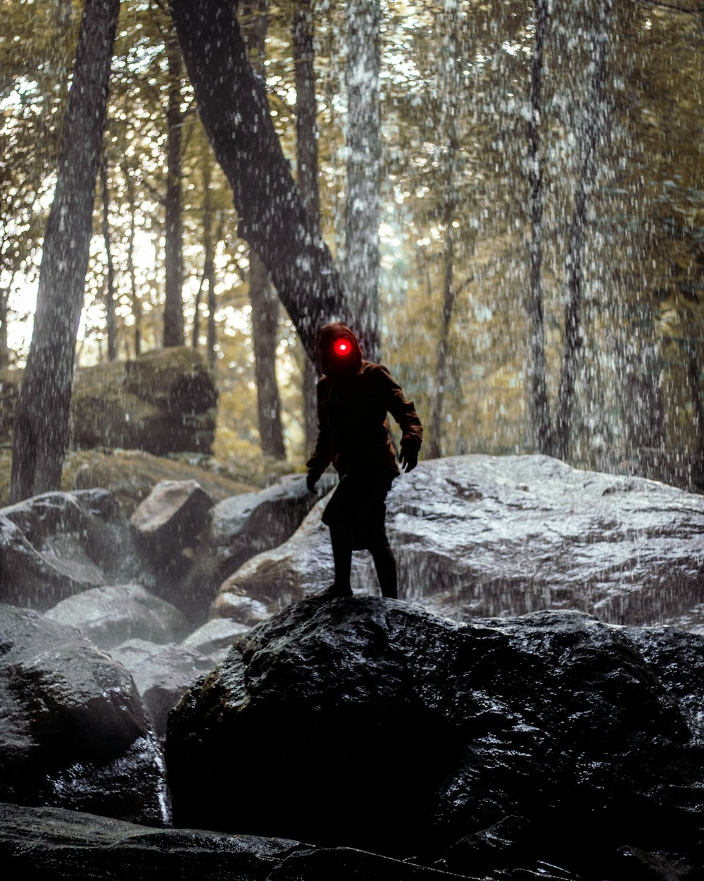 person standing on rock during daytime