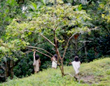 Children engaging in an outdoor environmental education session surrounded by nature.