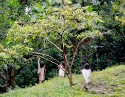 Children engaging in sensory play outdoors surrounded by nature.