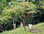 Children participating in an outdoor environmental education workshop surrounded by lush greenery.