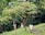 Children walking through a lush, green forest as they explore and interact with their natural surroundings. Tall trees with dense foliage fill the background, creating a sense of being immersed in nature.