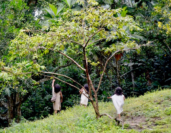 Children walking through a lush, green forest as they explore and interact with their natural surroundings. Tall trees with dense foliage fill the background, creating a sense of being immersed in nature.