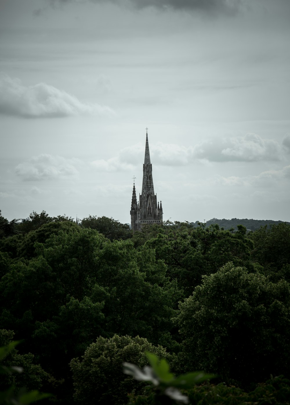 gray castle surrounded by green trees taken at daytime