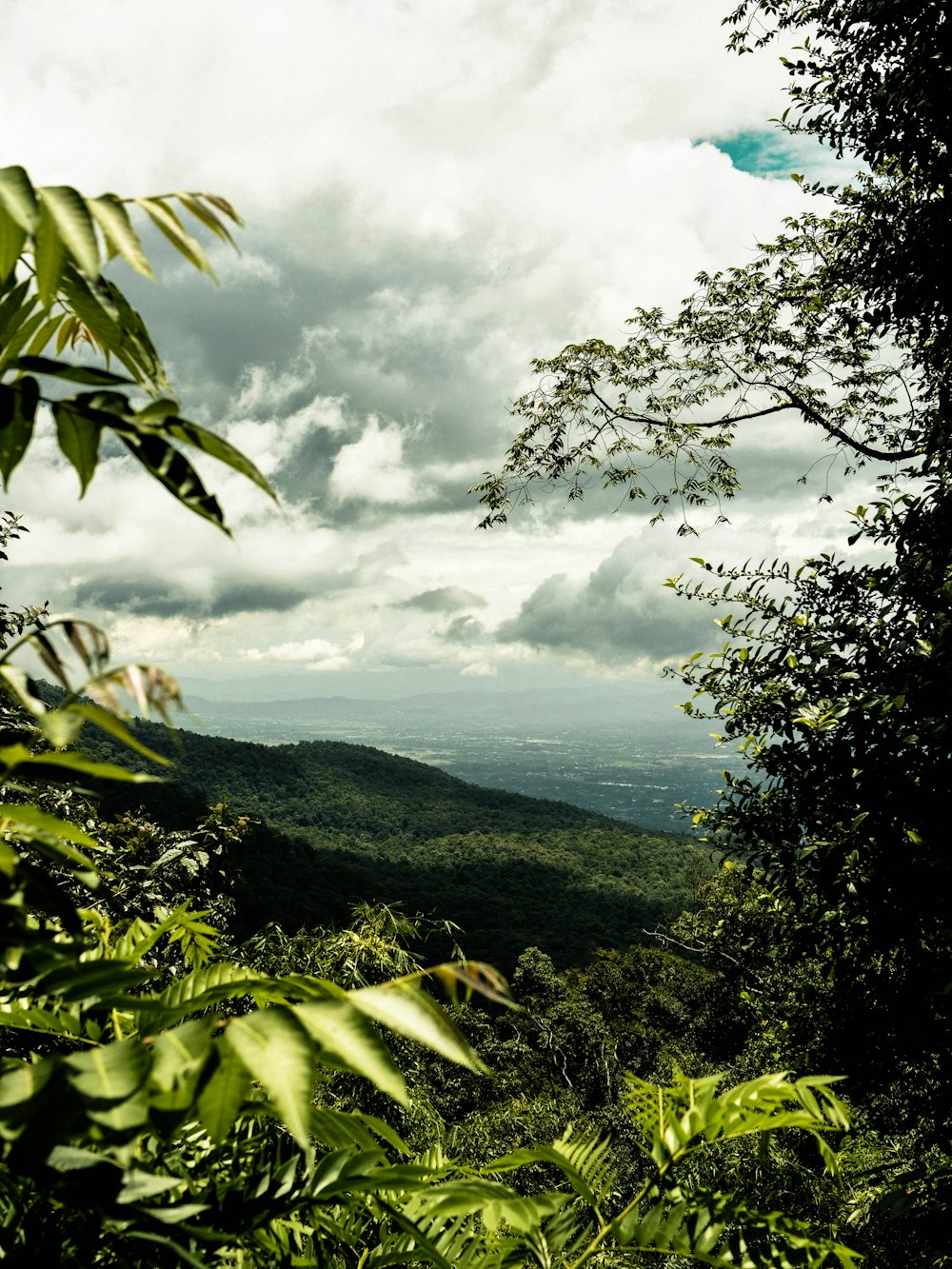 mountain under white sky