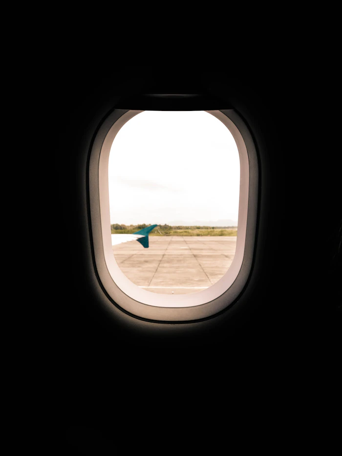 Dog standing in an aircraft cabin