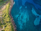 An aerial view of a coastal landscape featuring a rugged shoreline with lush green vegetation. The ocean appears clear with varying shades of blue, revealing underwater formations and coral reefs.