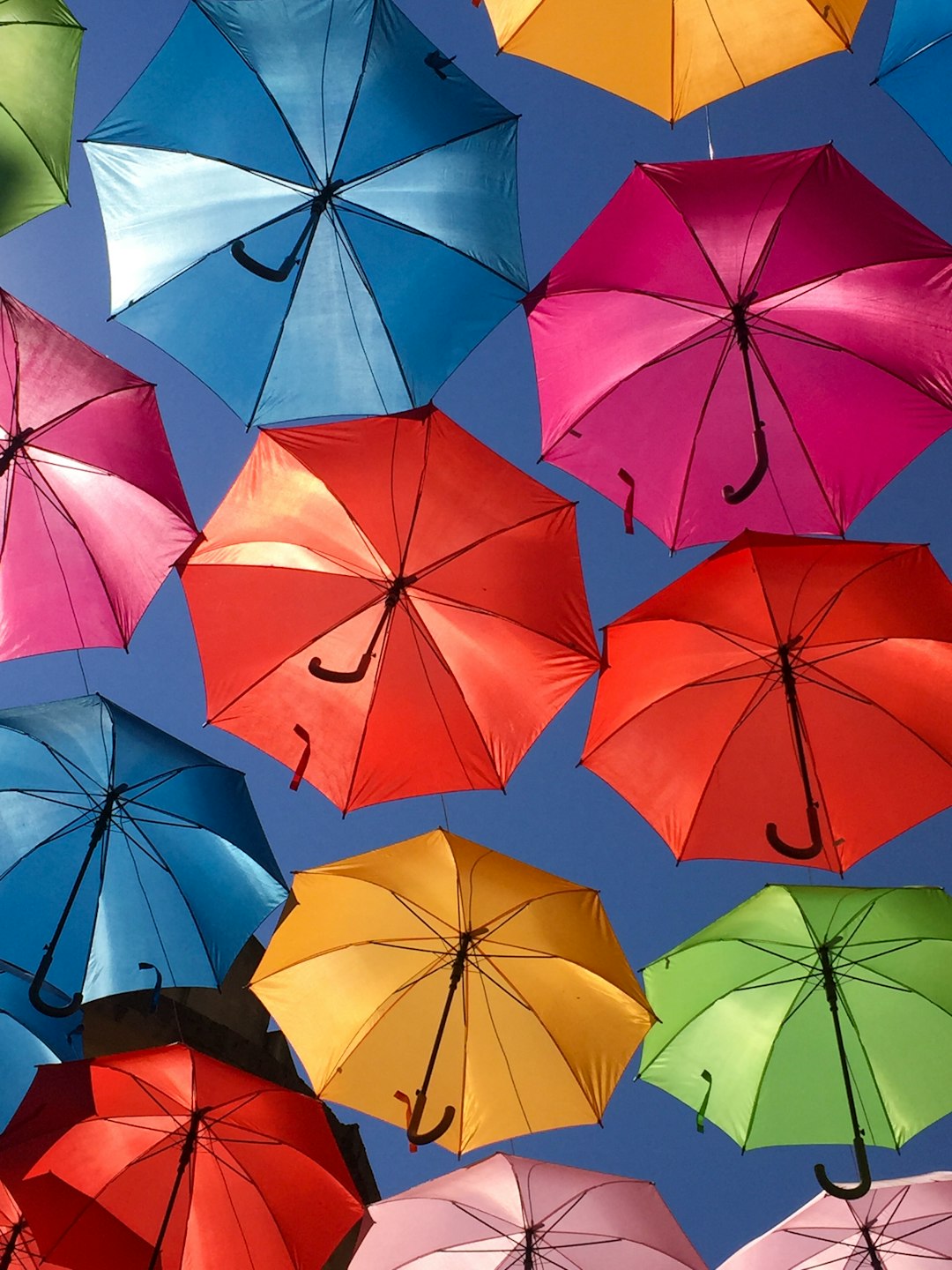 assorted-colored umbrella decor at daytime