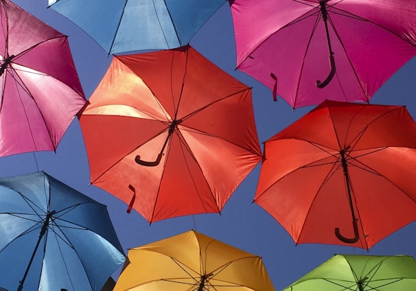 assorted-colored umbrella decor at daytime