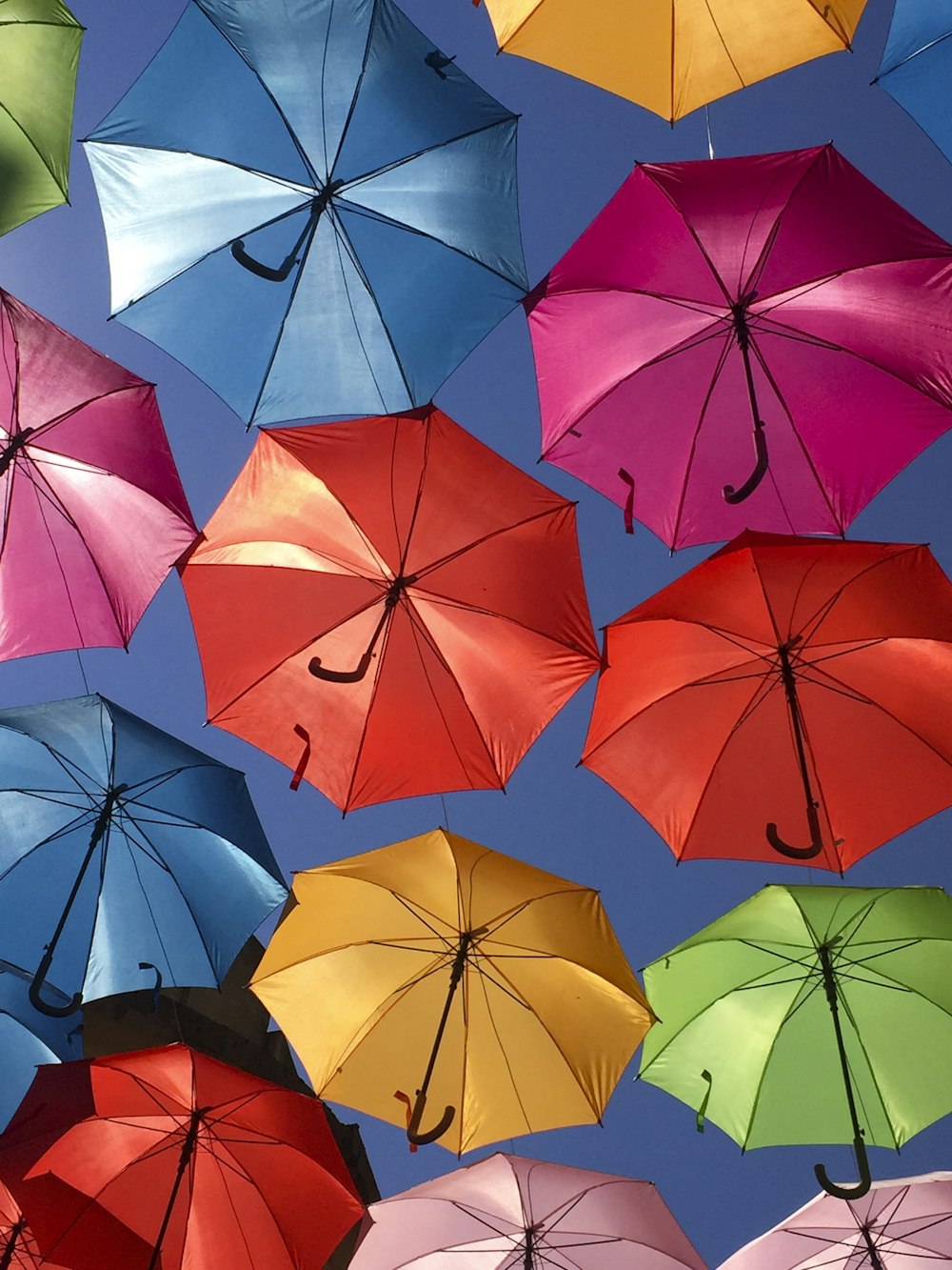 Decoración de paraguas de colores variados durante el día