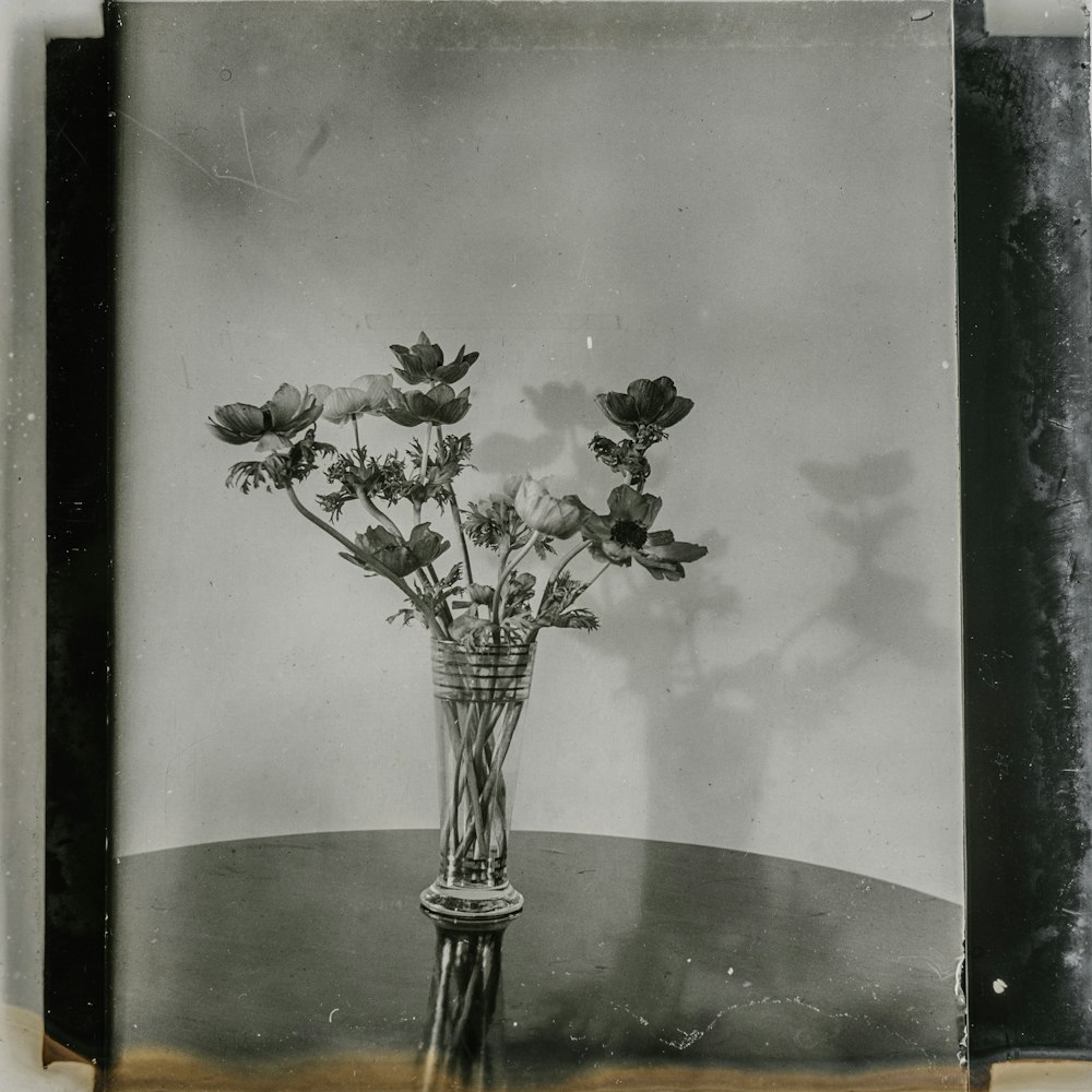 grayscale flowers artwork