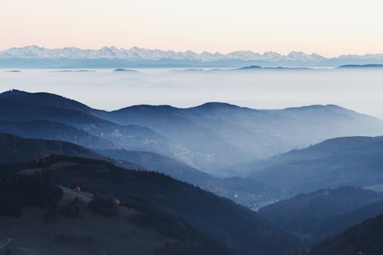 aerial photography of mountain at daytime in Belchen Germany