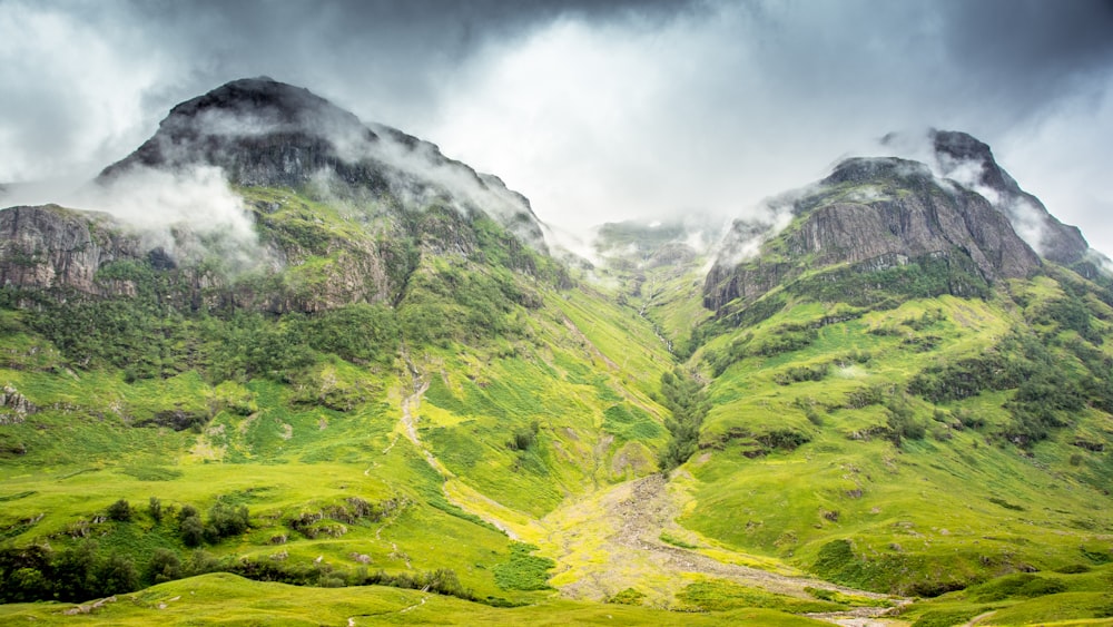 close up shot of grass covered mountain