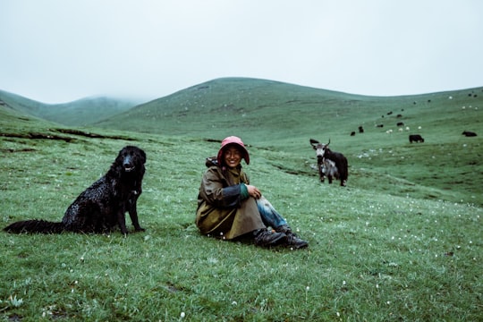 woman sitting on green grass field in Yushu China