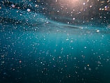 body of water