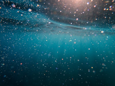 Norwegian wATER CLUSTER