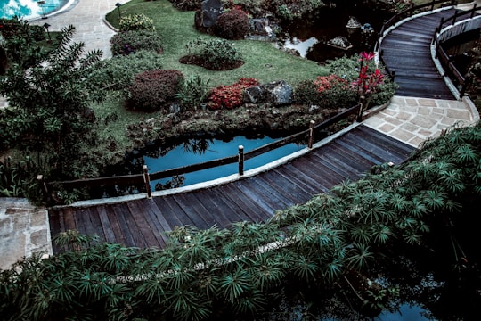 Before and after images of a garden transformed with lush plants and elegant pathways.