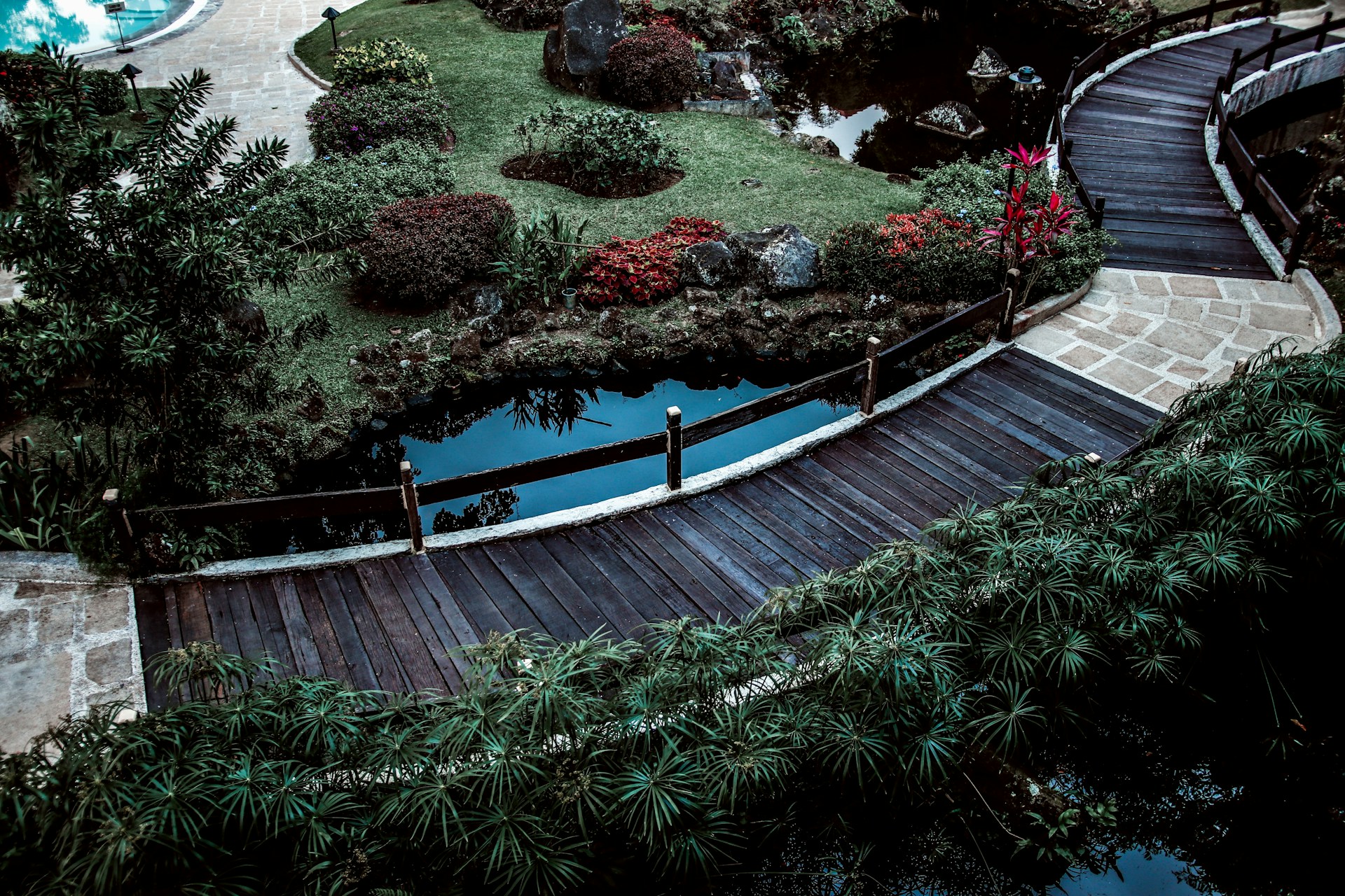 A serene garden corner featuring a mix of native plants, a winding stone path, and a modern drainage system blending seamlessly into the landscape.