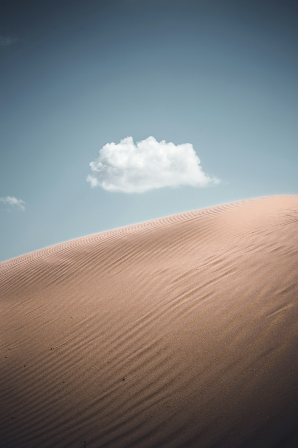 foto ravvicinata del deserto