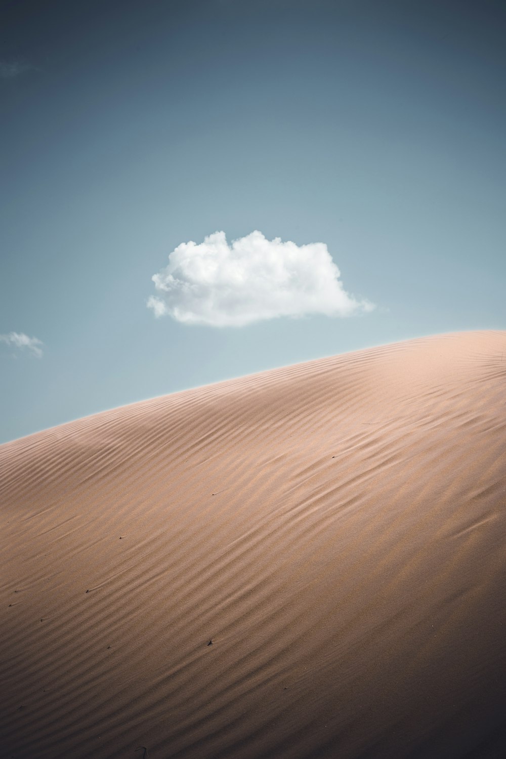 砂漠のクローズアップ写真