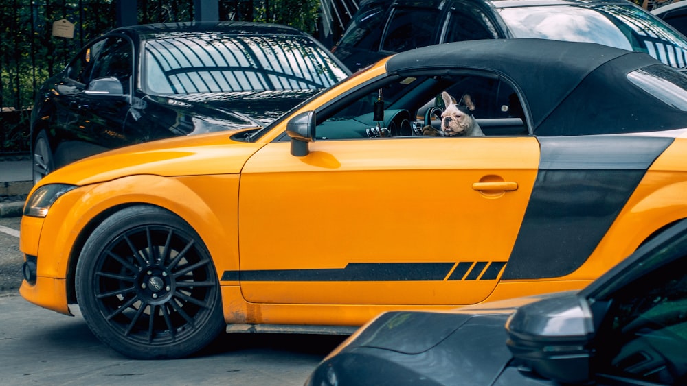 yellow and black coupe