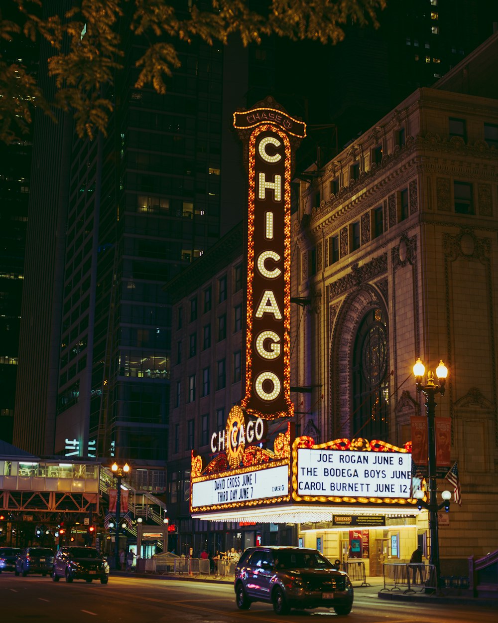 lighted Chicago signage