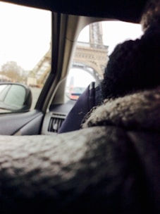 Comfortable taxi interior with a view of Versailles landmarks through the window.