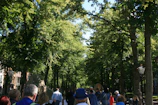 Volunteers planting native trees along a winding park trail on a sunny day.
